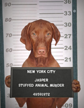 Social Media and the #JasperBook